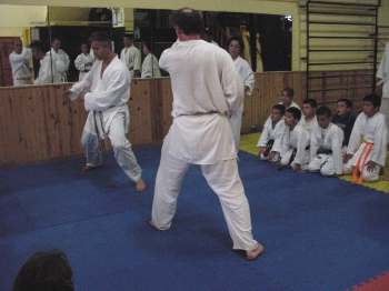 Weltklasse-Karate demonstriert vom "weien Blitz" Senol